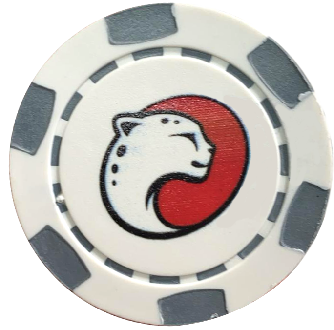 Impression sur puces en plastique