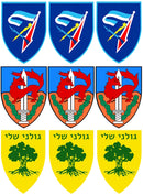 מדבקות תג יחידה שקופות לחלון רכב PVC